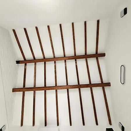 Domus Regia * Pisa